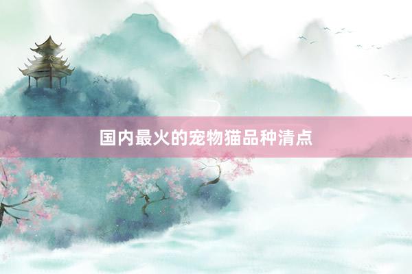 国内最火的宠物猫品种清点
